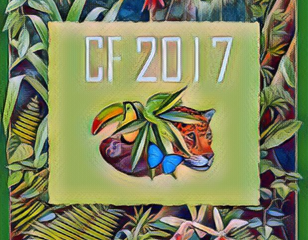No centro do desenho as letras CF que significam Campanha da Fraternidade. Há muitos elementos como a Flora e fauna no centro e há o ano em curso 2017. Ramos de florestas de todas as cores preenchem o desenho em formato de quadro.